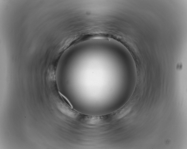 X0000092070384200709121421