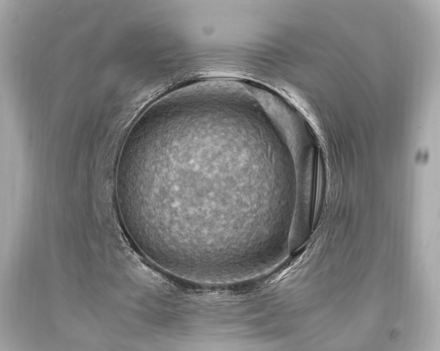 X0000092070385200709121420