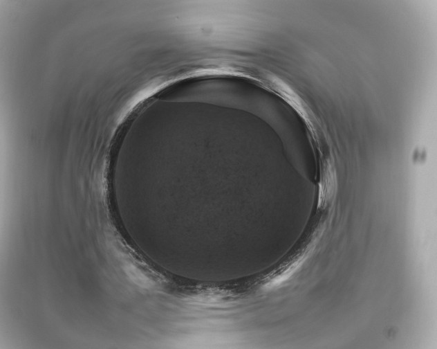 X0000092070387200709121420