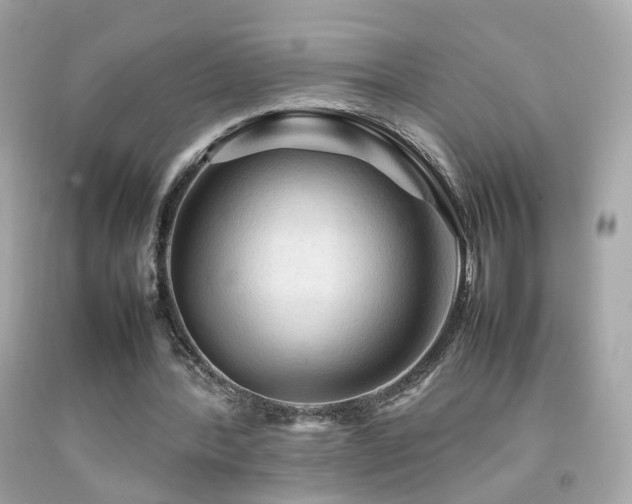 X0000092070388200709121420