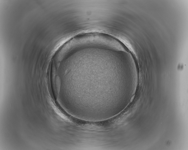 X0000092070389200709121420