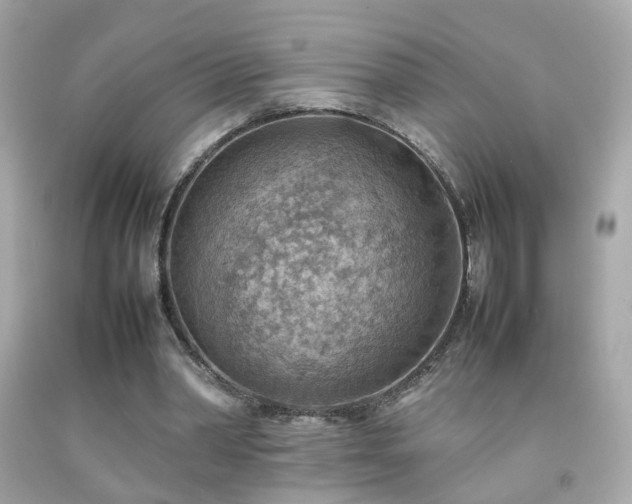 X0000092070390200709121420