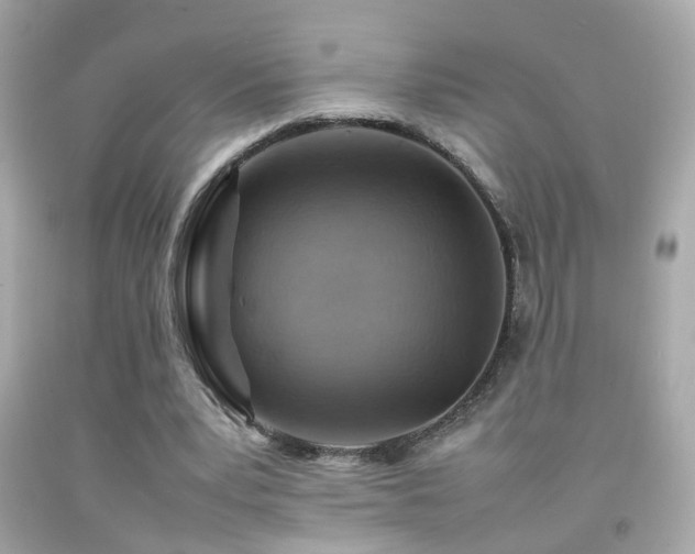 X0000092070391200709121420