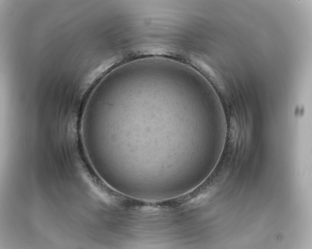 X0000092070394200709121420