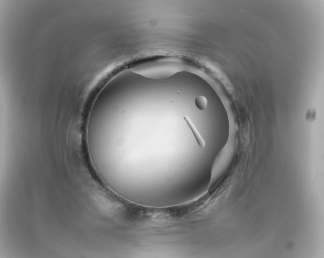 X0000092070395200709121420