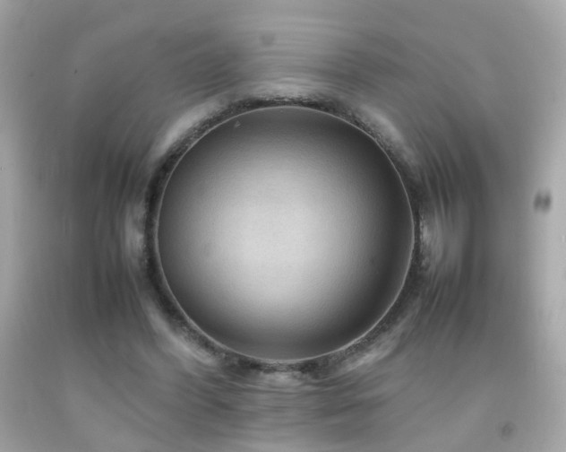 X0000092070396200709121420