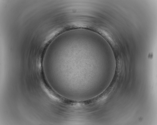 X0000092070398200709121420