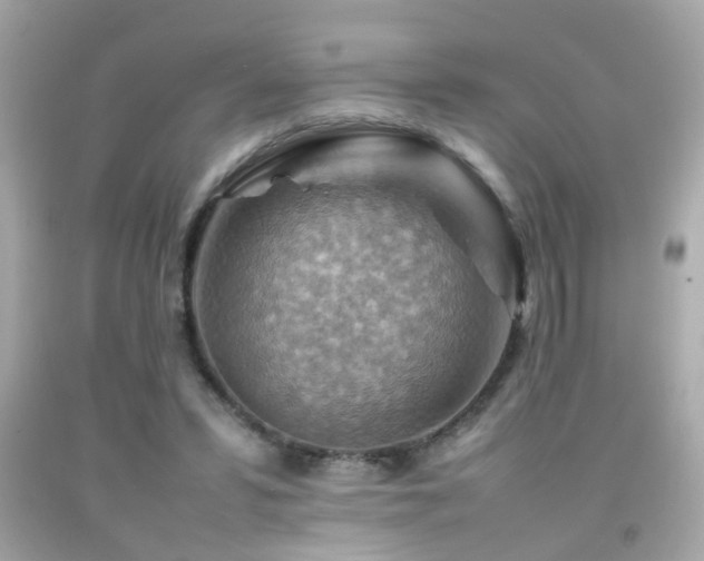 X0000092070399200709121420
