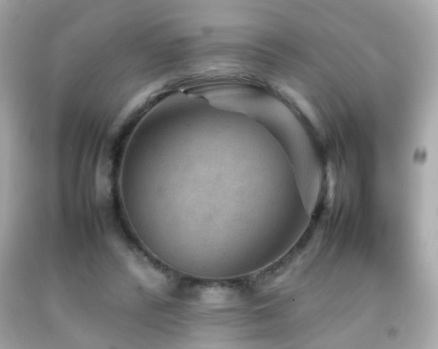 X0000092070400200709121420