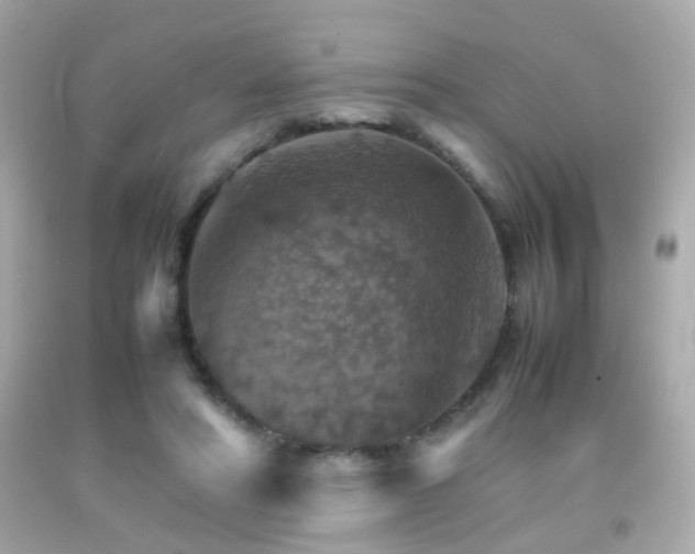 X0000092070402200709121420