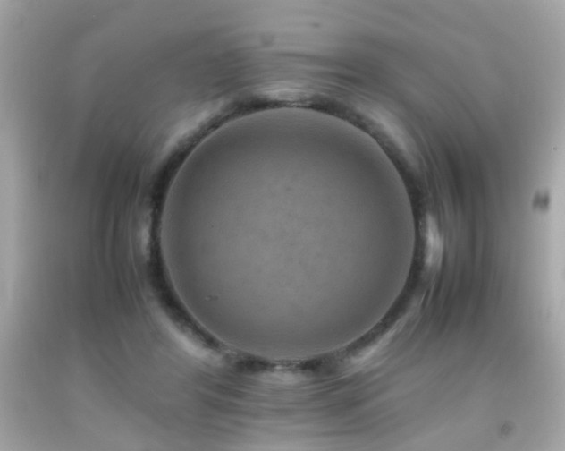 X0000092070404200709121420
