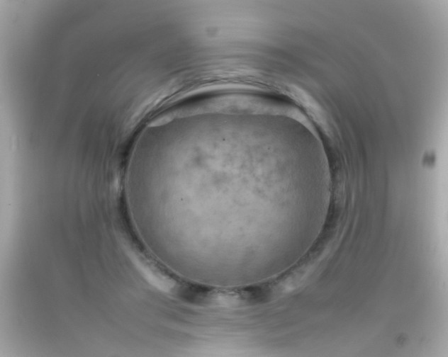 X0000092070405200709121420