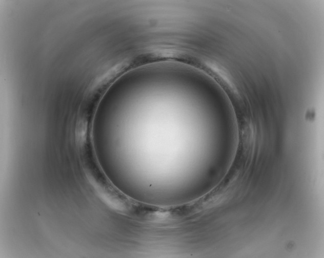 X0000092070406200709121420