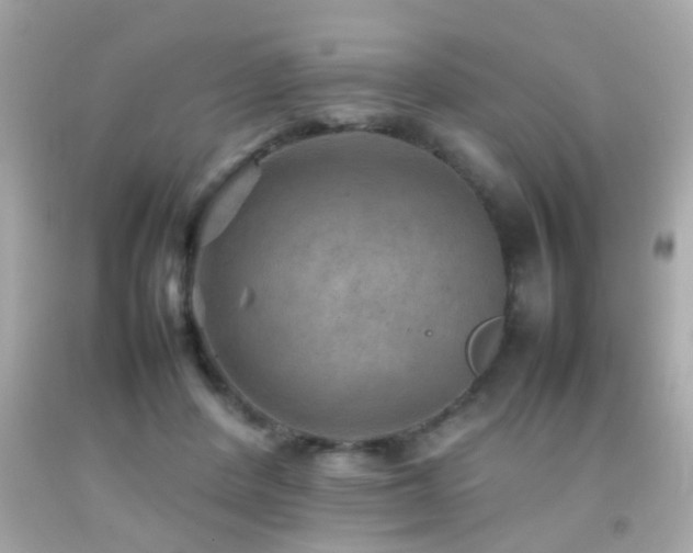 X0000092070408200709121420