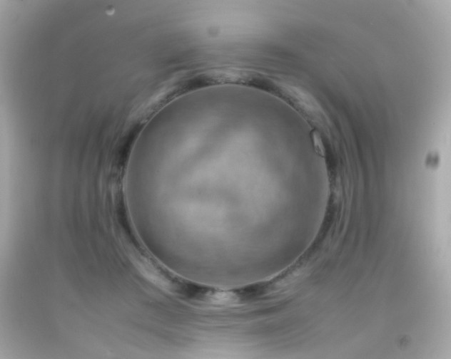 X0000092070409200709121420