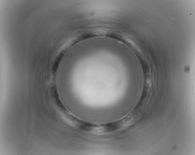 X0000092070411200709121420