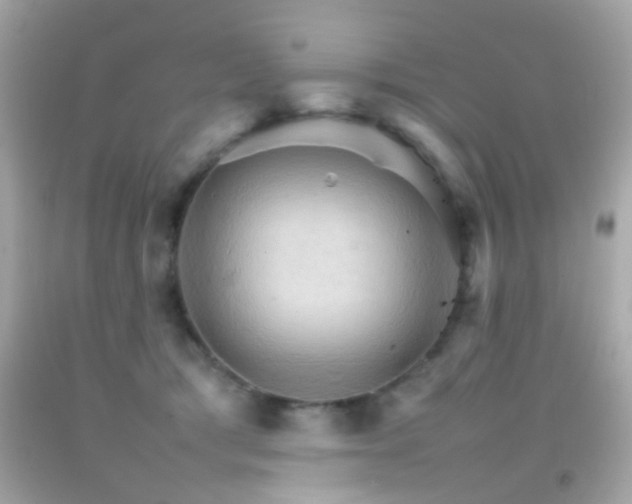 X0000092070417200709121420