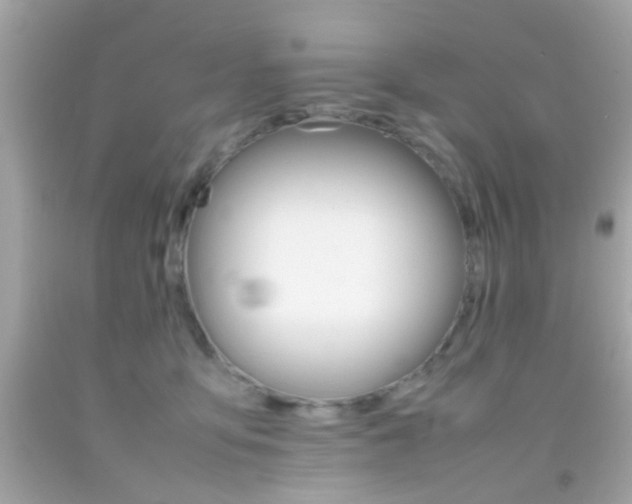 X0000092070419200709121420