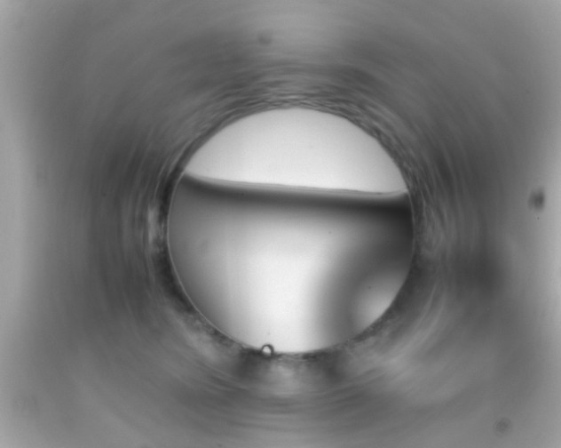 X0000092070420200709121420
