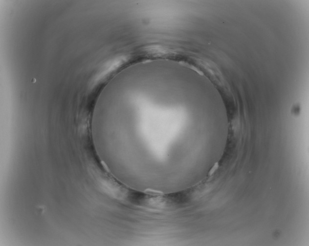 X0000092070423200709121420