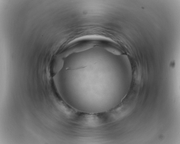 X0000092070424200709121420