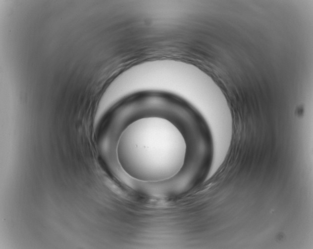 X0000092070428200709121420