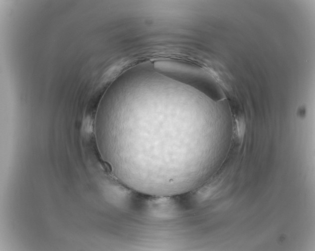 X0000092070431200709121420