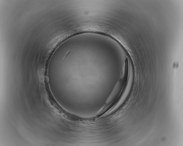 X0000092070434200709121419