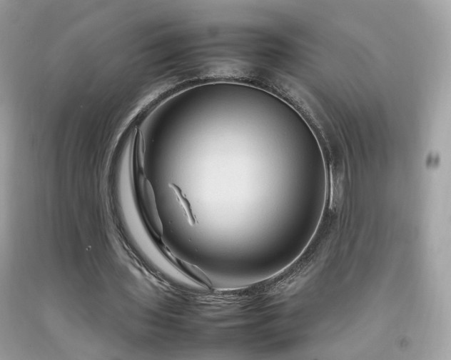 X0000092070435200709121419