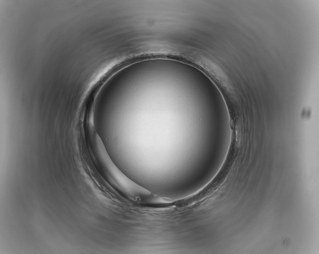 X0000092070436200709121419