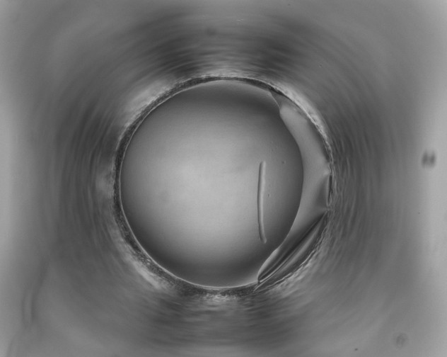 X0000092070437200709121419