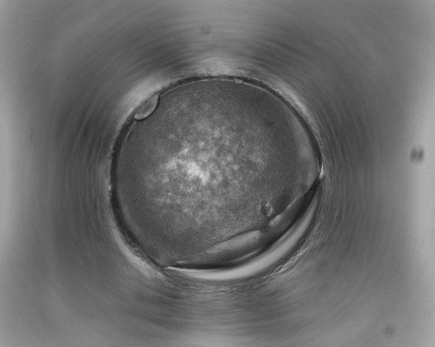 X0000092070438200709121419