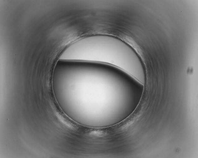 X0000092070441200709121419