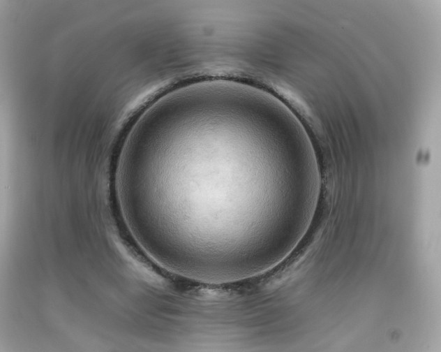 X0000092070442200709121419