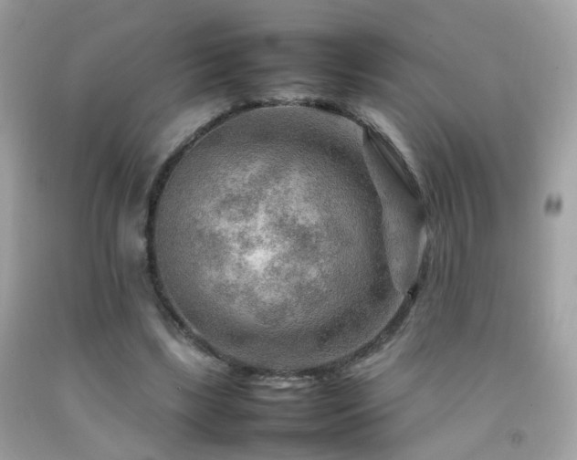 X0000092070443200709121419