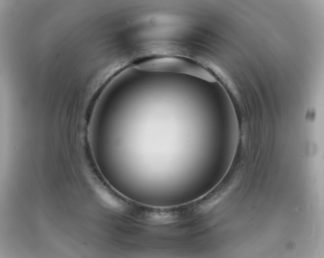 X0000092070445200709121419