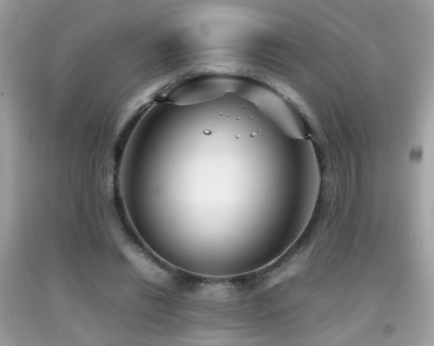 X0000092070446200709121419