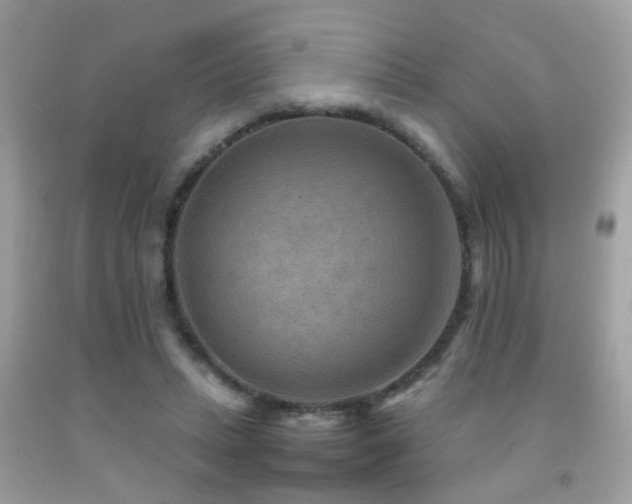 X0000092070447200709121419