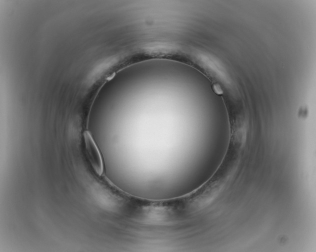 X0000092070448200709121419
