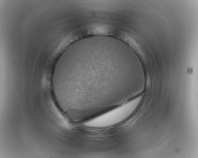 X0000092070449200709121419