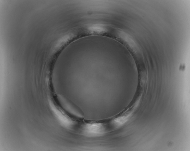 X0000092070451200709121419