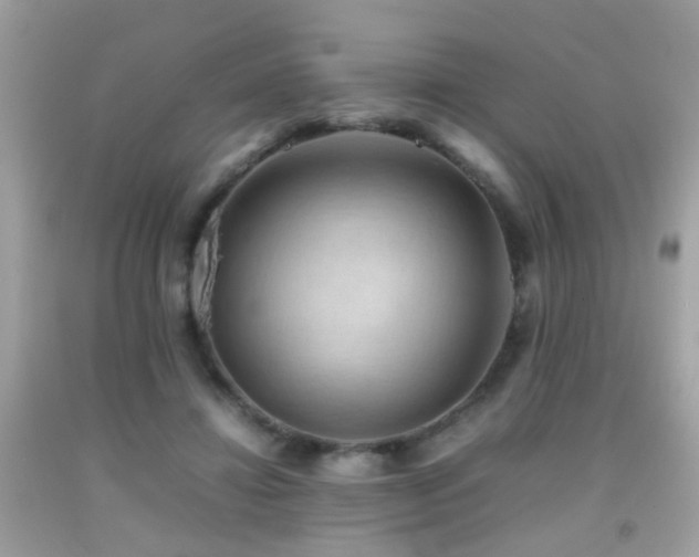 X0000092070452200709121419