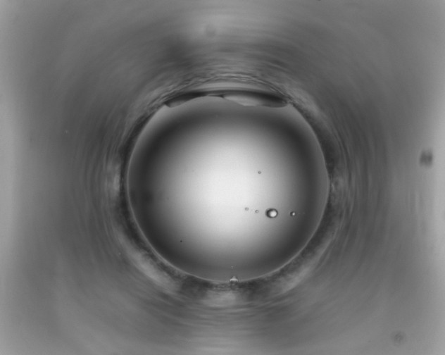X0000092070454200709121419