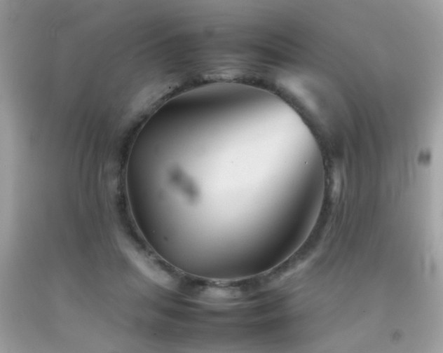 X0000092070455200709121419
