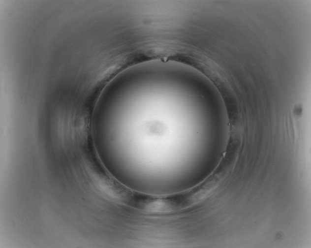X0000092070460200709121419