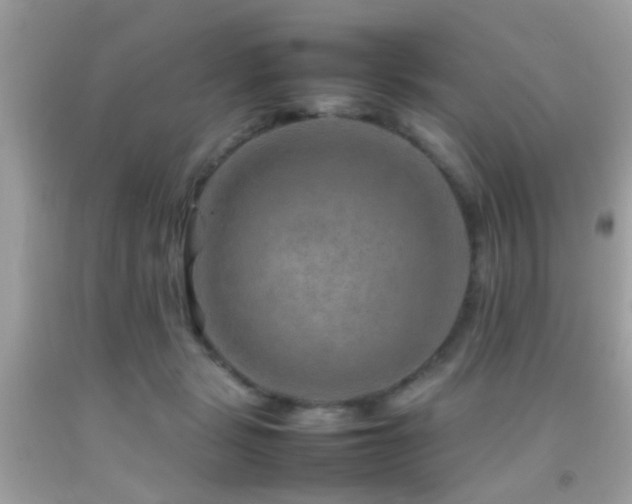X0000092070461200709121419