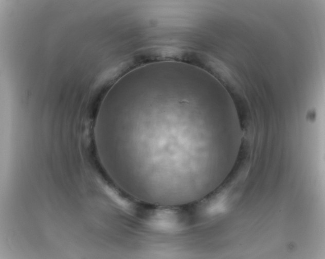 X0000092070462200709121419