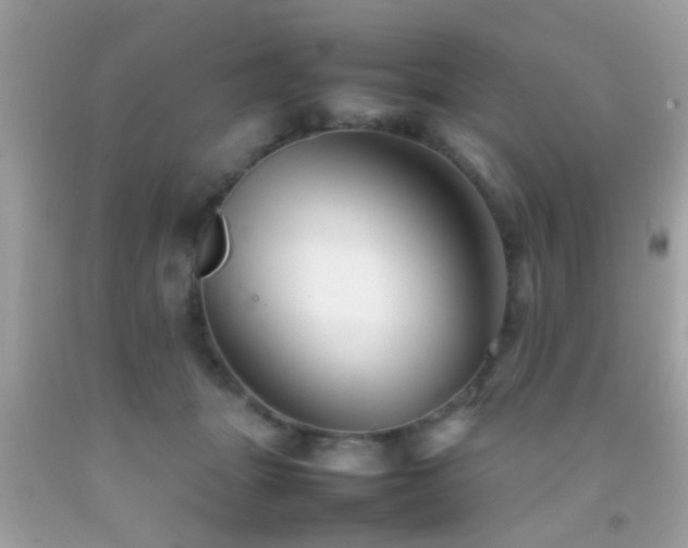 X0000092070463200709121420
