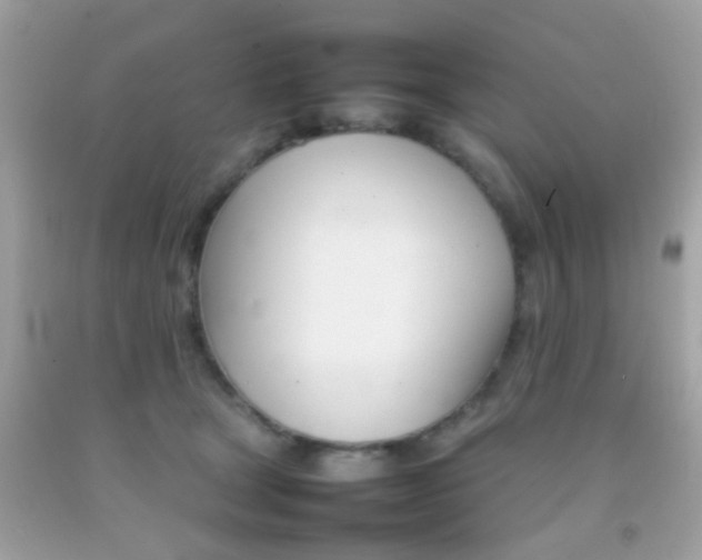 X0000092070465200709121420