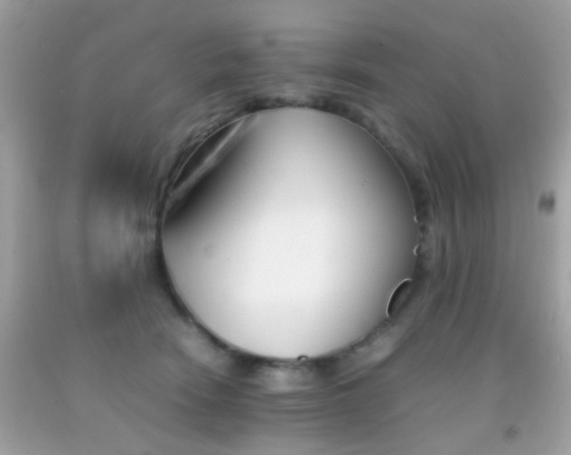 X0000092070466200709121420